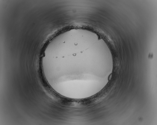 X0000101210496200807251052