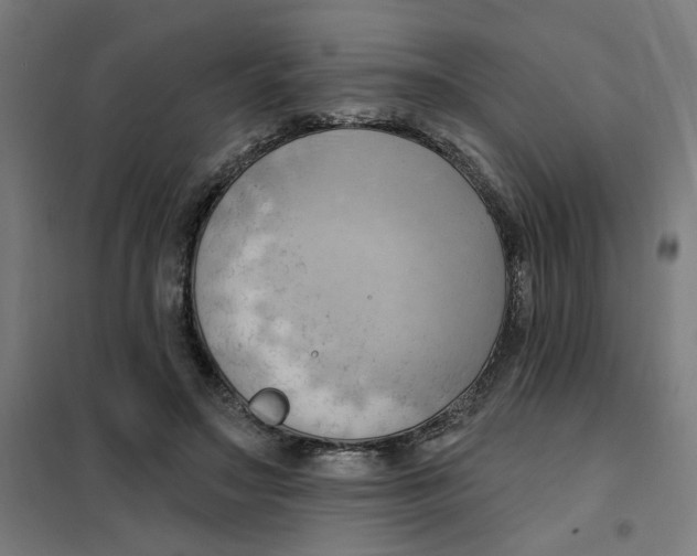 X0000101210499200807251052