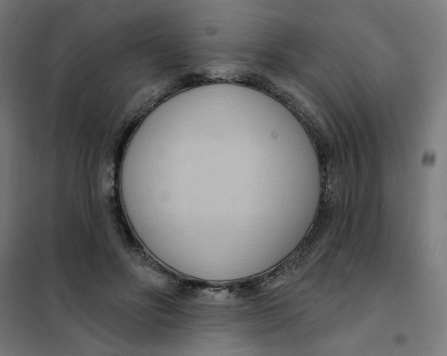 X0000101210502200807251052