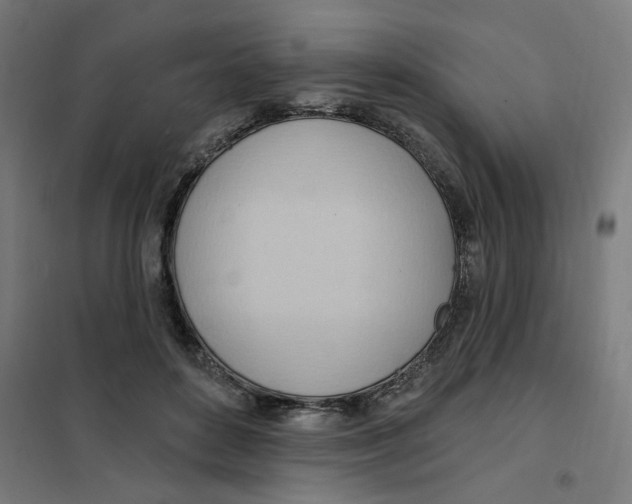 X0000101210504200807251052