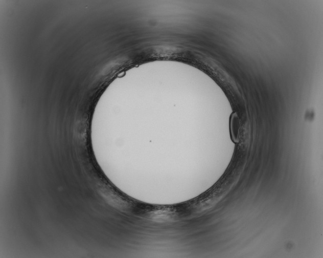 X0000101210505200807251052