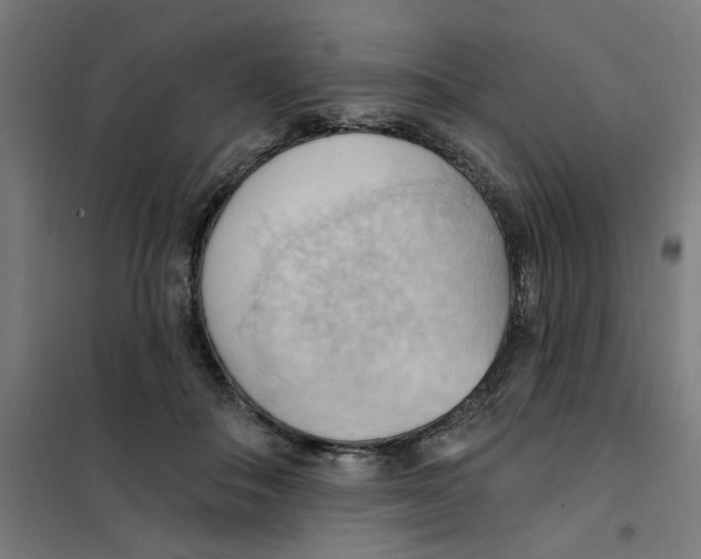 X0000101210506200807251052