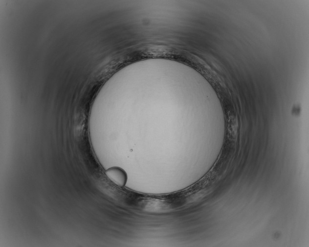 X0000101210507200807251052