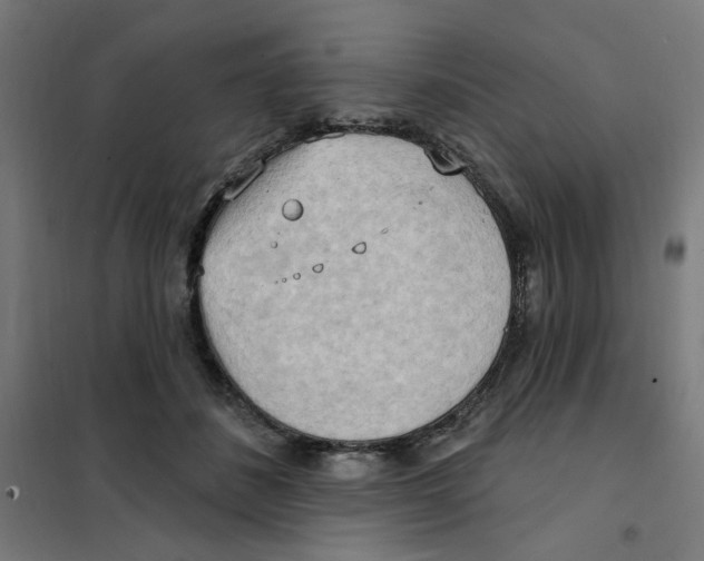 X0000101210508200807251052