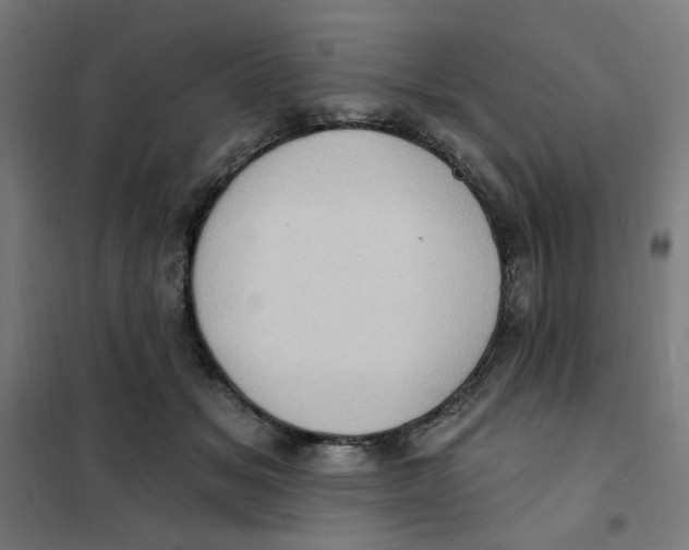 X0000101210509200807251052