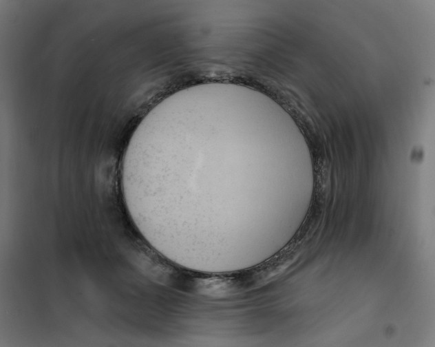 X0000101210511200807251052