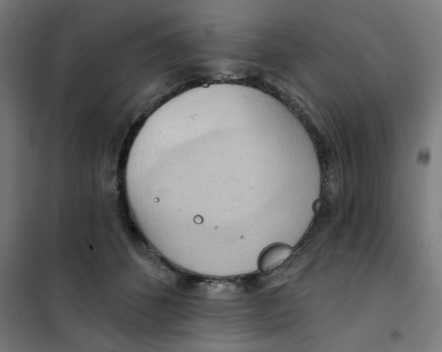 X0000101210512200807251052