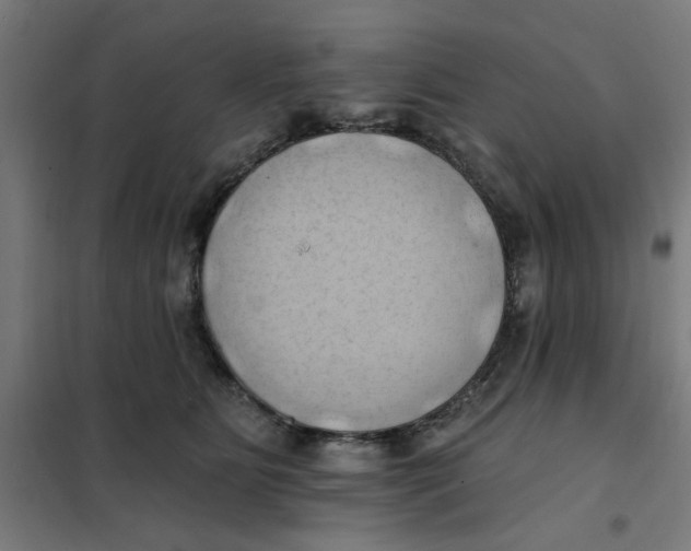 X0000101210515200807251052