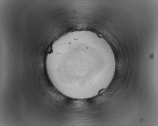 X0000101210516200807251052