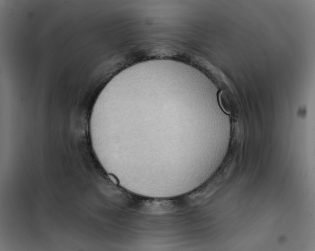 X0000101210517200807251052