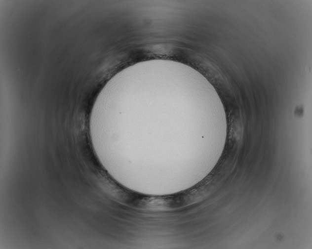 X0000101210518200807251052