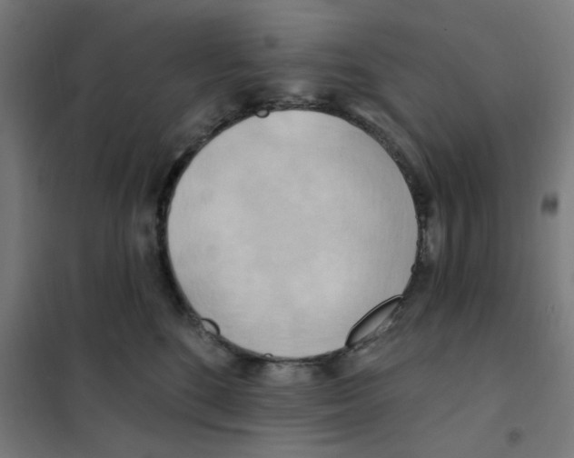 X0000101210520200807251052