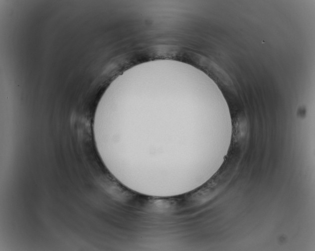 X0000101210522200807251052