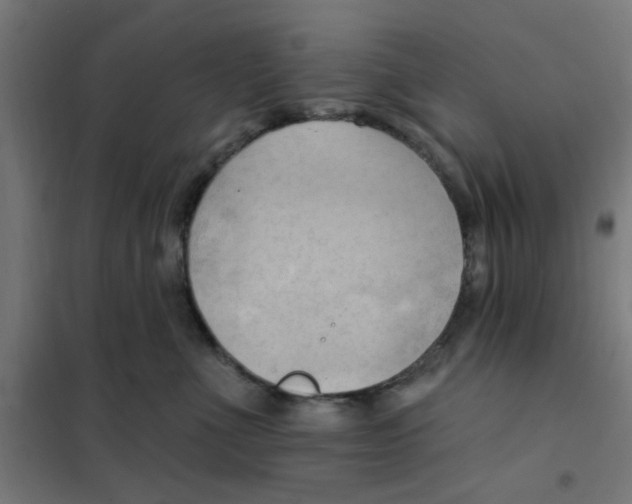 X0000101210523200807251052