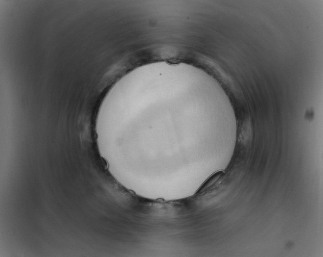 X0000101210524200807251052