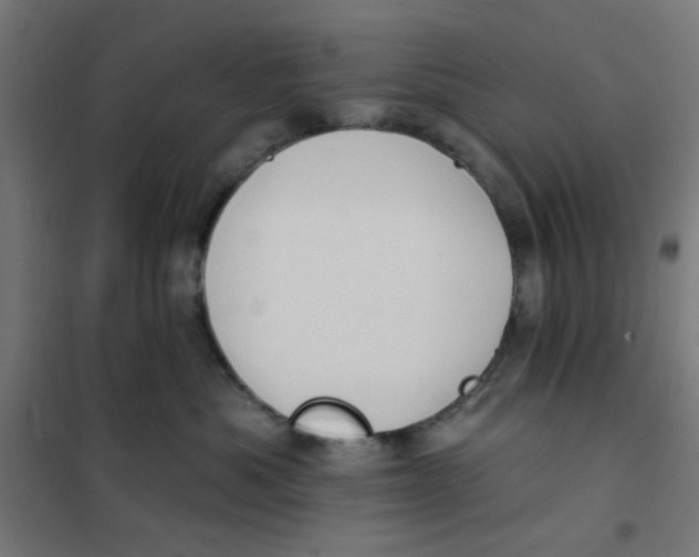 X0000101210525200807251052