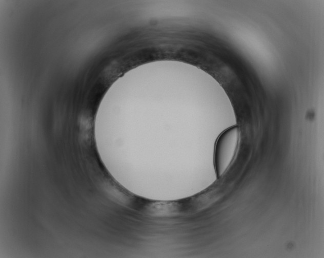 X0000101210526200807251052