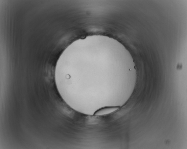 X0000101210528200807251052