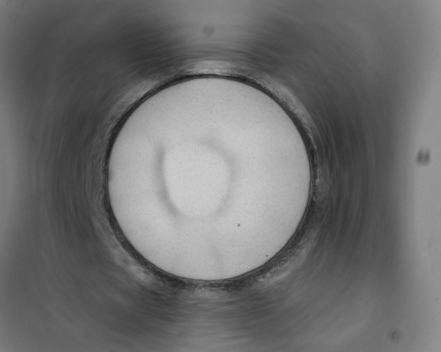 X0000101210529200807251051