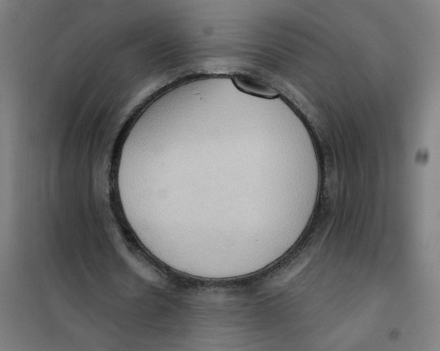 X0000101210530200807251051