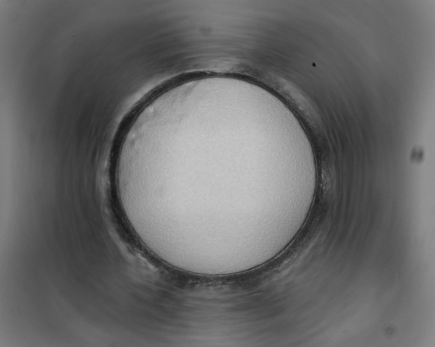 X0000101210532200807251051