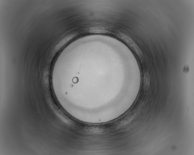 X0000101210533200807251051