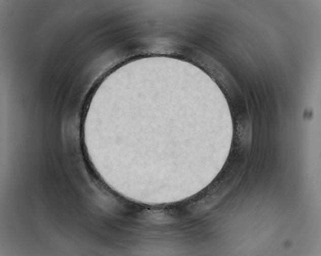 X0000101210534200807251051