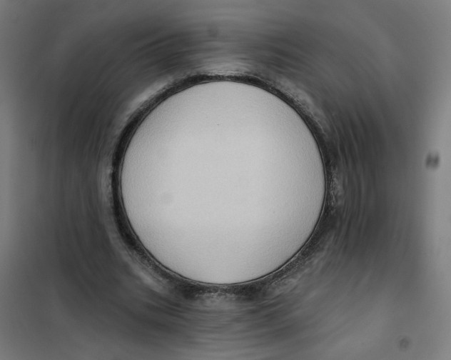 X0000101210535200807251051