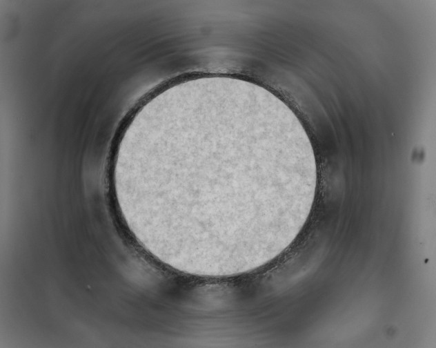 X0000101210536200807251051