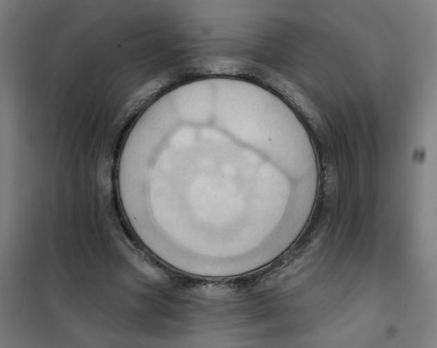 X0000101210537200807251051