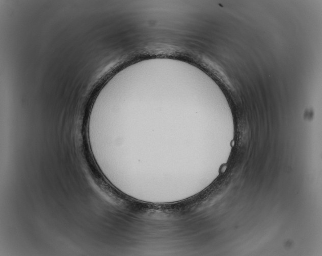 X0000101210538200807251051