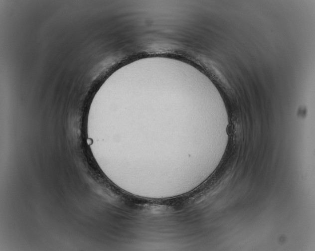 X0000101210539200807251051