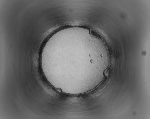 X0000101210540200807251051