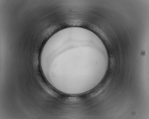 X0000101210541200807251051