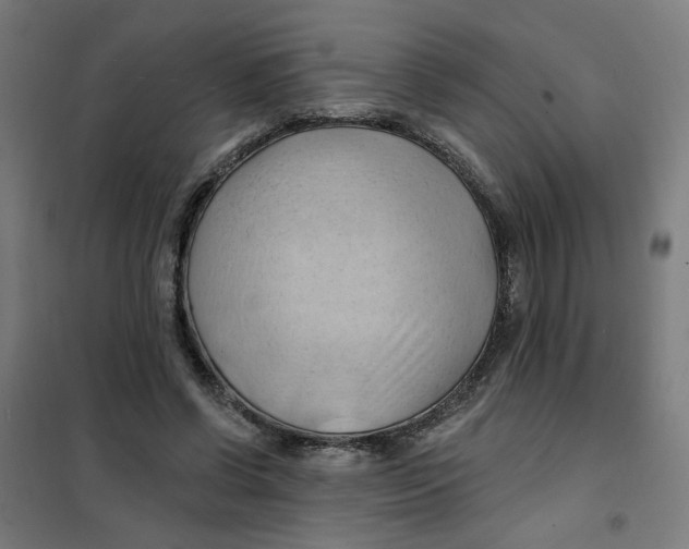 X0000101210542200807251051