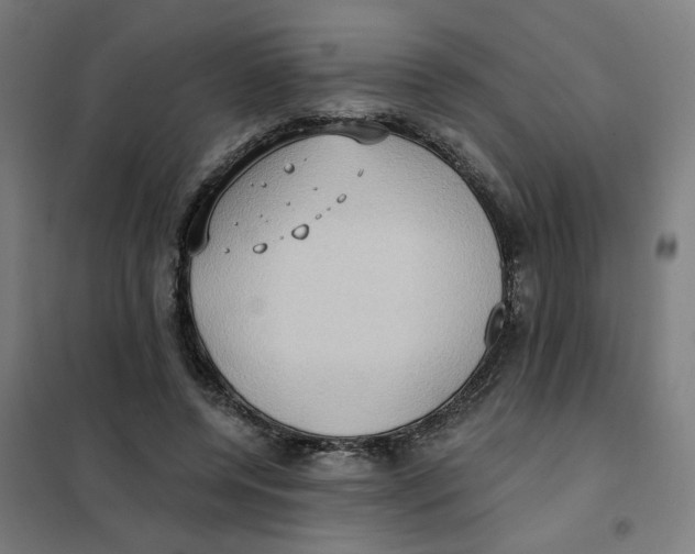 X0000101210544200807251051