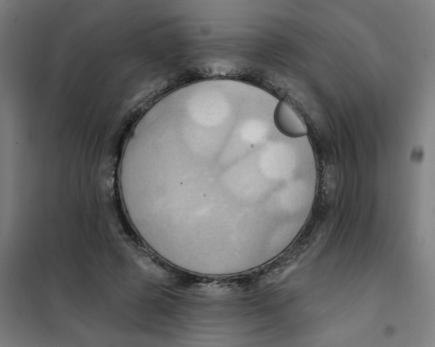 X0000101210545200807251051