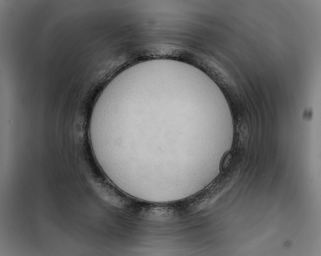 X0000101210546200807251051