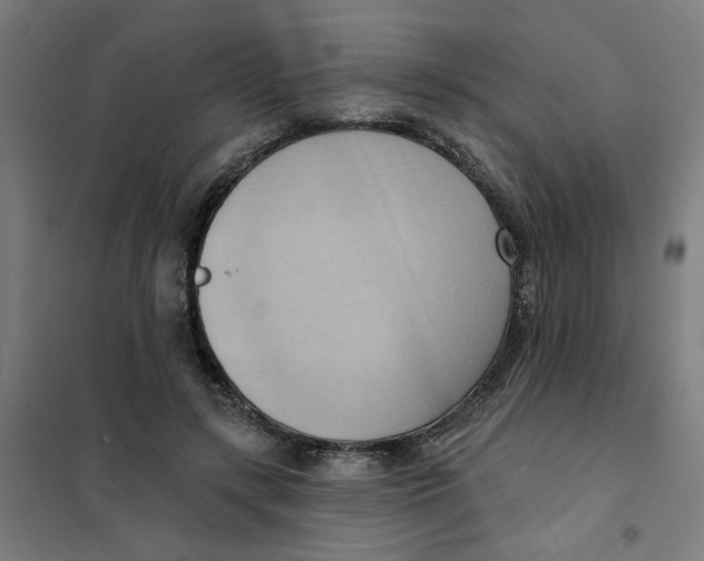 X0000101210547200807251051