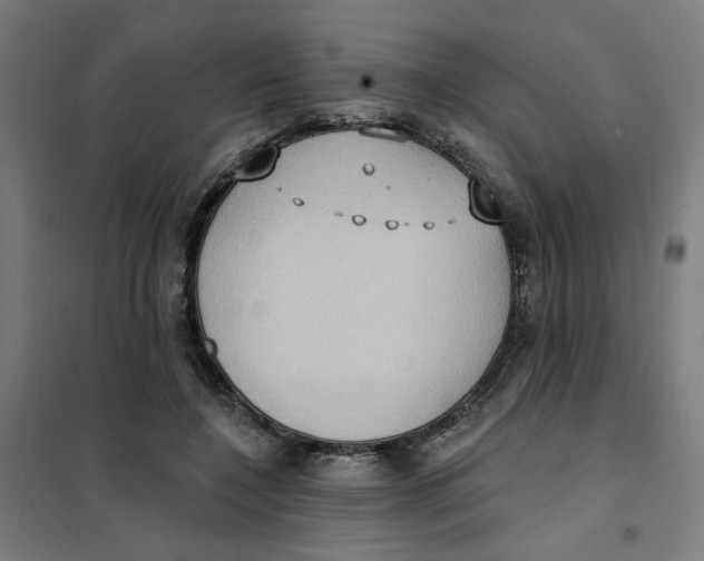 X0000101210548200807251051