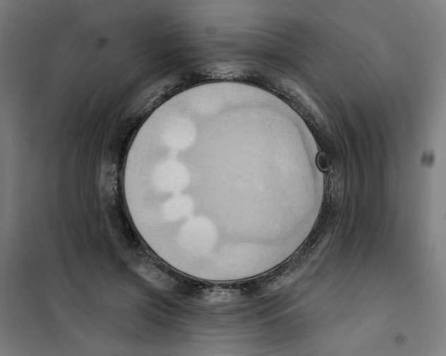 X0000101210549200807251051