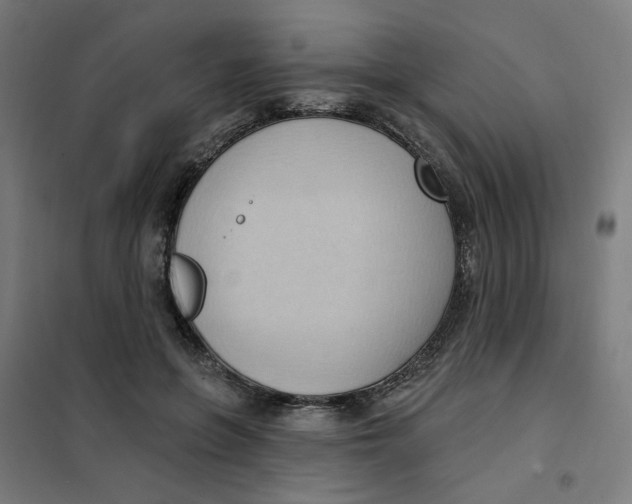 X0000101210551200807251051