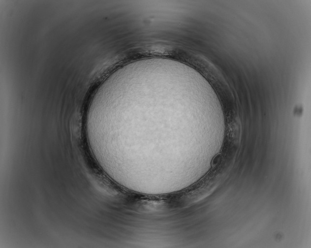 X0000101210552200807251051