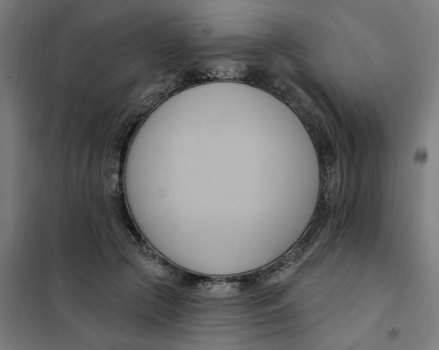 X0000101210553200807251051