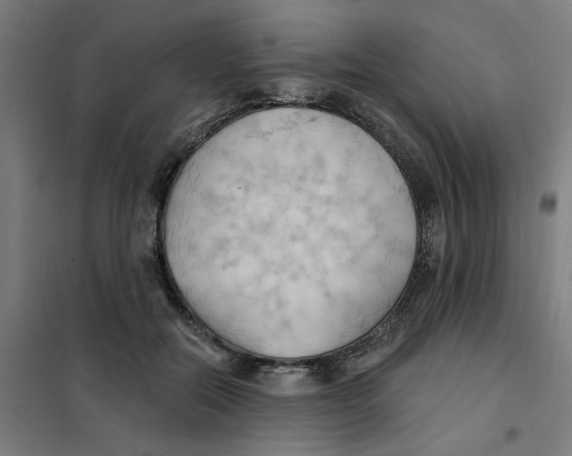 X0000101210554200807251051