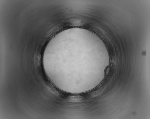 X0000101210556200807251051