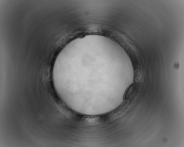 X0000101210560200807251051