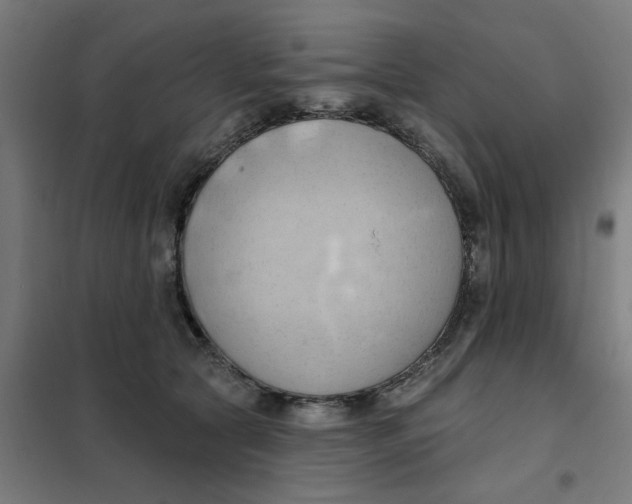 X0000101210561200807251051