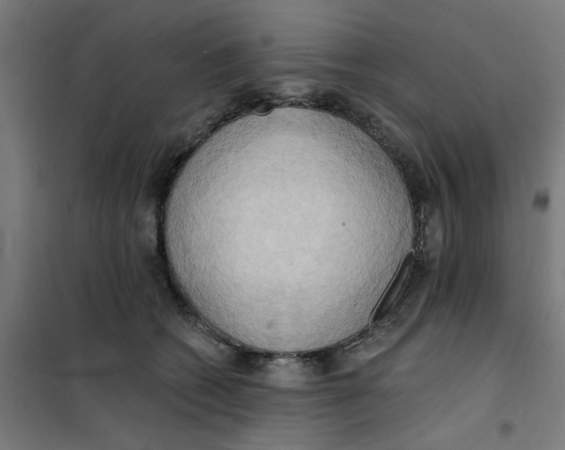 X0000101210562200807251052