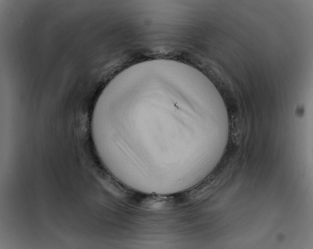 X0000101210563200807251052